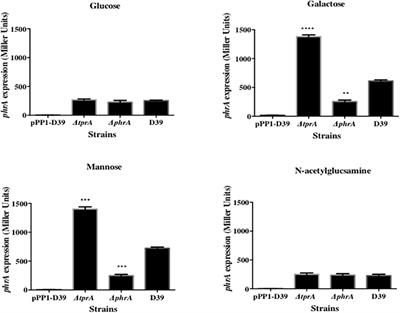 TprA/PhrA Quorum Sensing System Has a Major Effect on Pneumococcal Survival in Respiratory Tract and Blood, and Its Activity Is Controlled by CcpA and GlnR